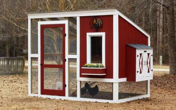 Chicken Coup Builder
