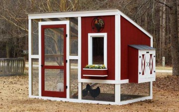 Chicken Coup Builder